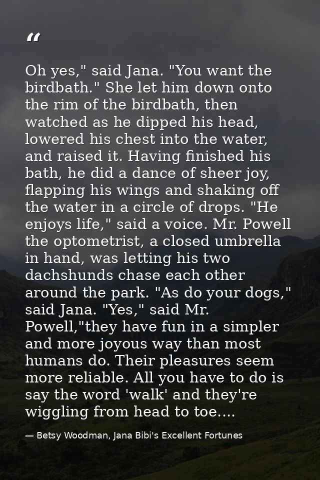 Oh yes," said Jana. "You want the birdbath." She let him down onto the rim of the birdbath, then watched as he dipped hi — Betsy Woodman, Jana Bibi's Excellent Fortunes