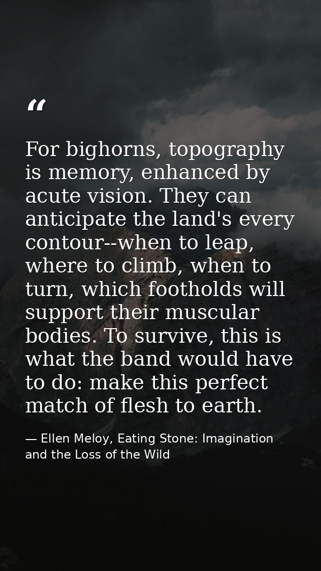 For bighorns, topography is memory, enhanced by acute vision. They can anticipate the land's every contour--when to leap — Ellen Meloy, Eating Stone: Imagination and the Loss of the Wild