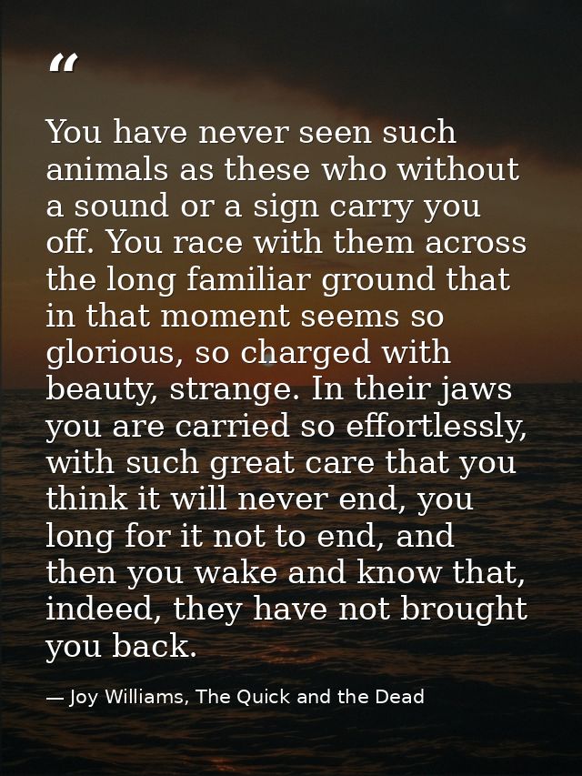 You have never seen such animals as these who without a sound or a sign carry you off. You race with them across the lon — Joy Williams, The Quick and the Dead
