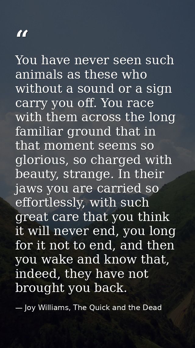 You have never seen such animals as these who without a sound or a sign carry you off. You race with them across the lon — Joy Williams, The Quick and the Dead