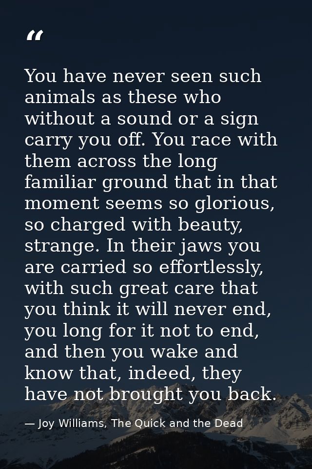 You have never seen such animals as these who without a sound or a sign carry you off. You race with them across the lon — Joy Williams, The Quick and the Dead