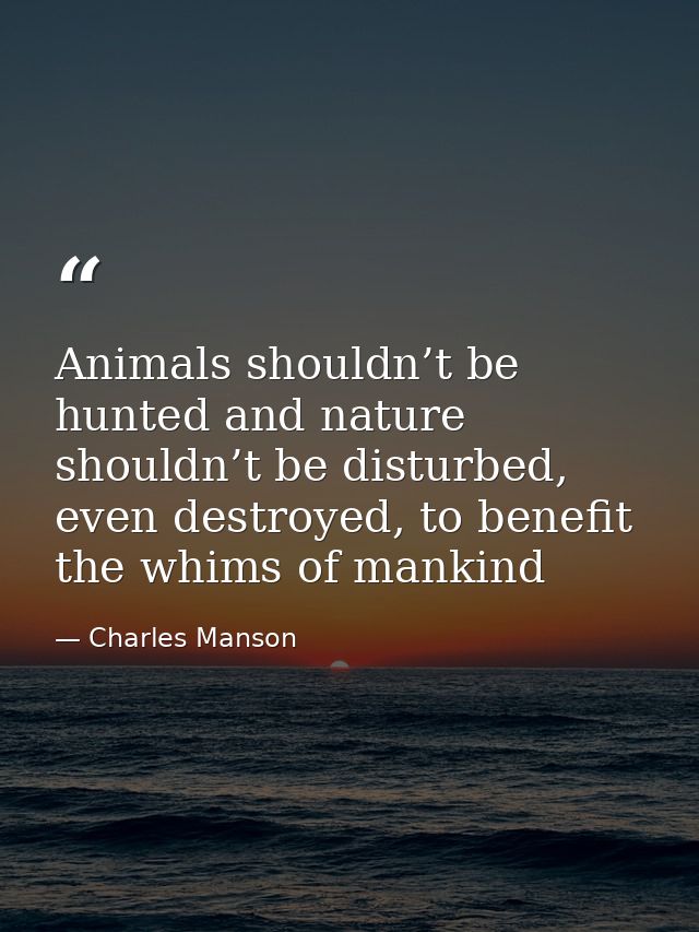 Animals shouldn’t be hunted and nature shouldn’t be disturbed, even destroyed, to benefit the whims of mankind — Charles Manson