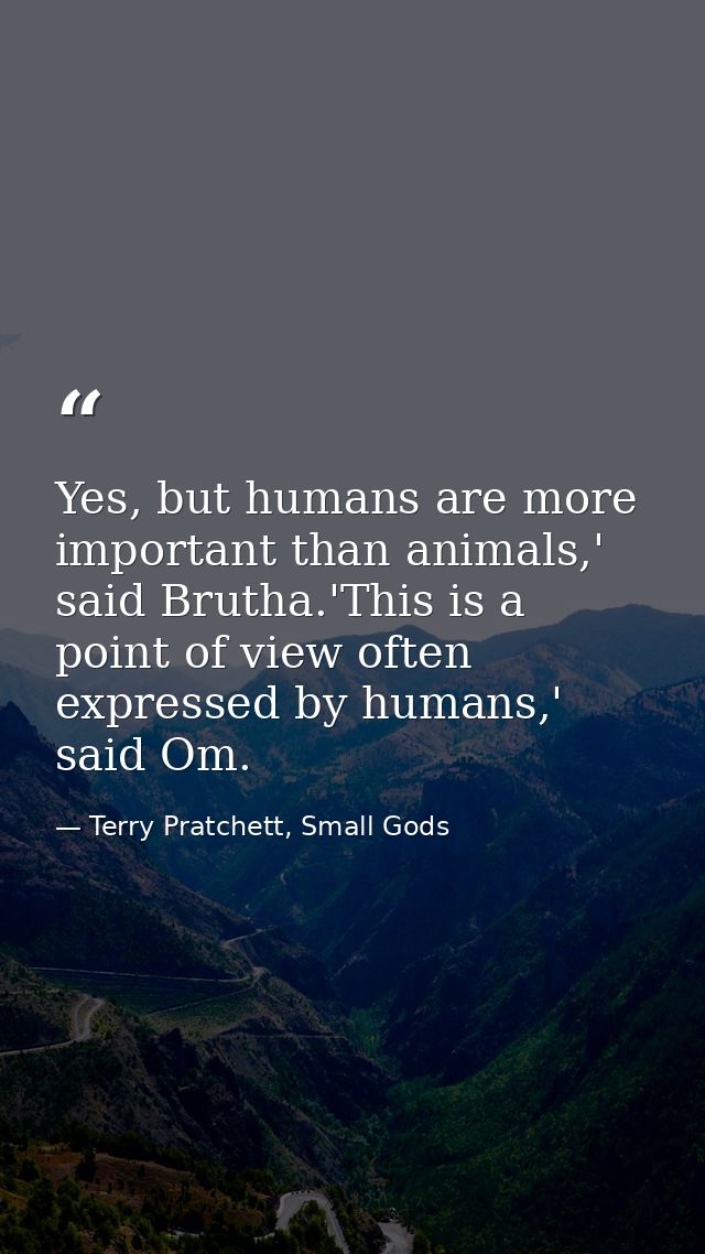 Yes, but humans are more important than animals,' said Brutha.'This is a point of view often expressed by humans,' said  — Terry Pratchett, Small Gods