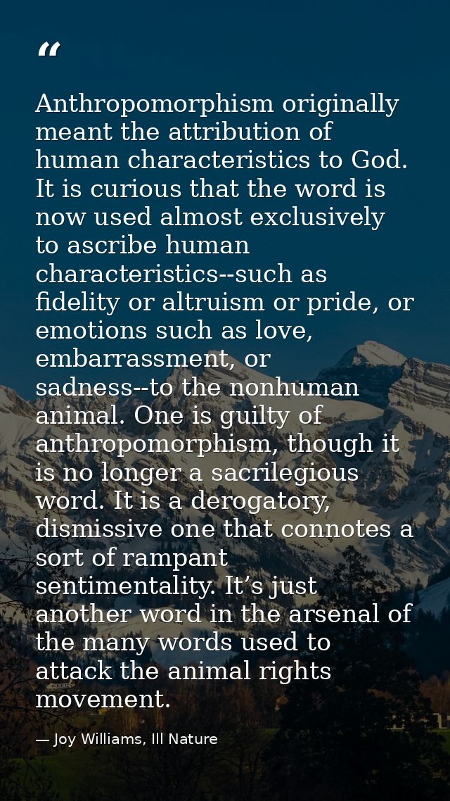 Anthropomorphism originally meant the attribution of human characteristics to God. It is curious that the word is now us — Joy Williams, Ill Nature