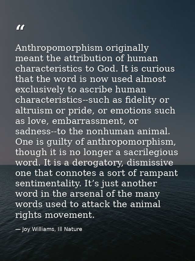 Anthropomorphism originally meant the attribution of human characteristics to God. It is curious that the word is now us — Joy Williams, Ill Nature