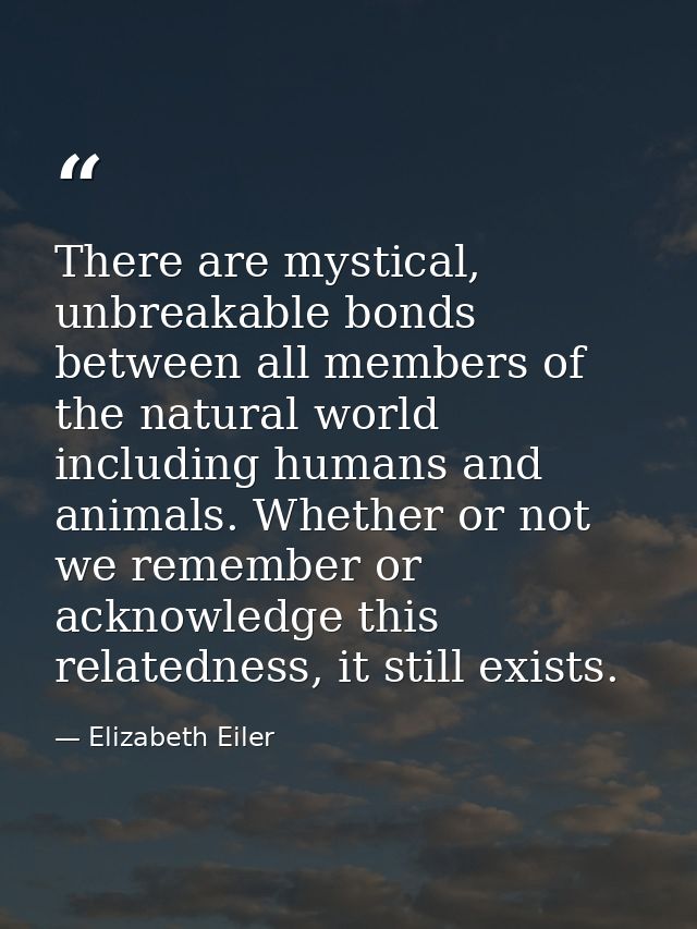 There are mystical, unbreakable bonds between all members of the natural world including humans and animals. Whether or  — Elizabeth Eiler