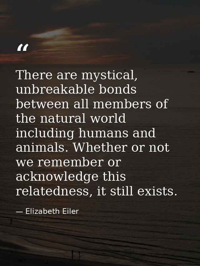 There are mystical, unbreakable bonds between all members of the natural world including humans and animals. Whether or  — Elizabeth Eiler