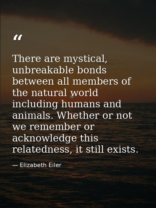 There are mystical, unbreakable bonds between all members of the natural world including humans and animals. Whether or  — Elizabeth Eiler
