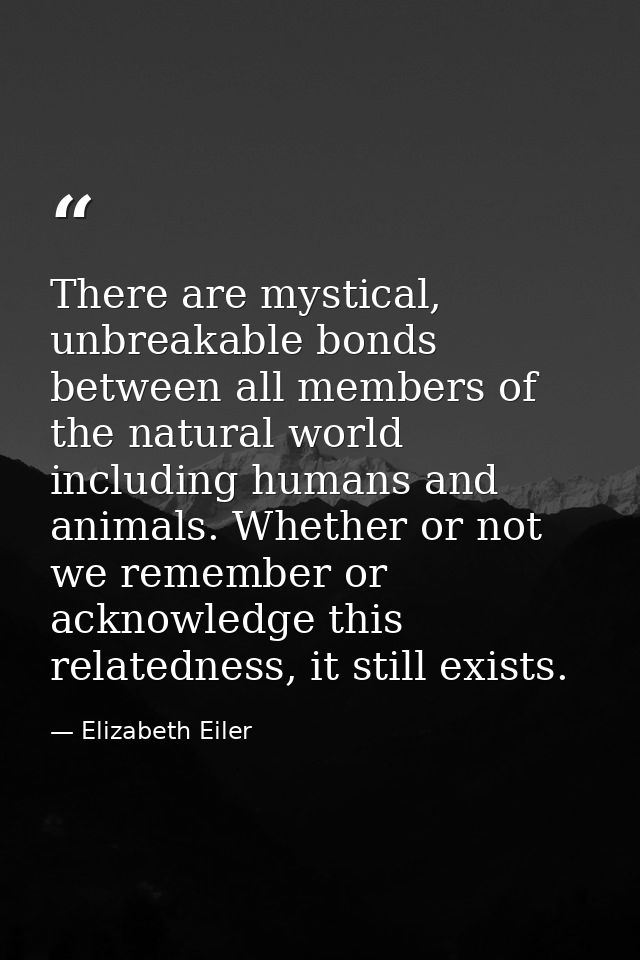 There are mystical, unbreakable bonds between all members of the natural world including humans and animals. Whether or  — Elizabeth Eiler