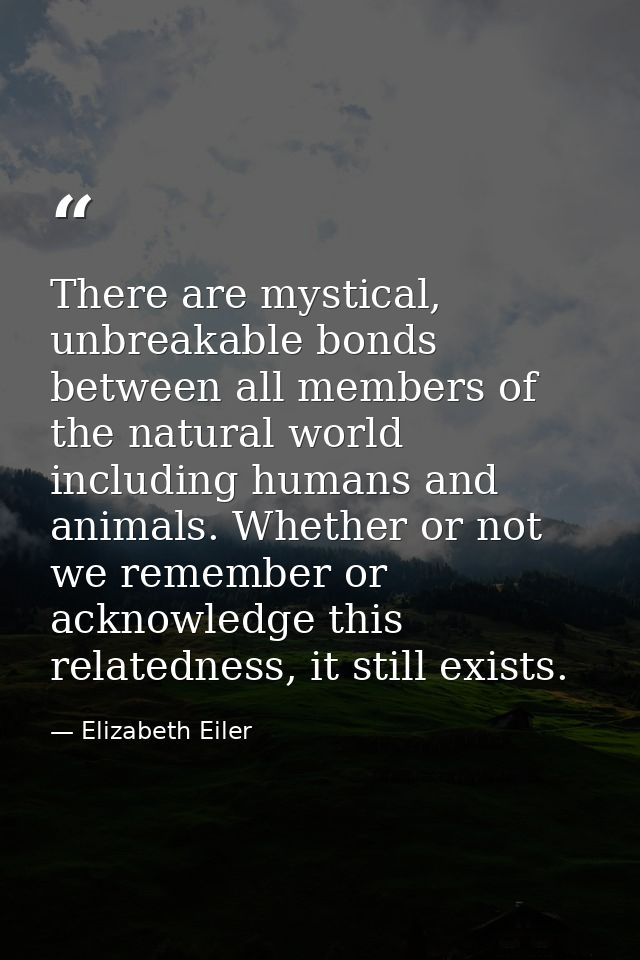 There are mystical, unbreakable bonds between all members of the natural world including humans and animals. Whether or  — Elizabeth Eiler