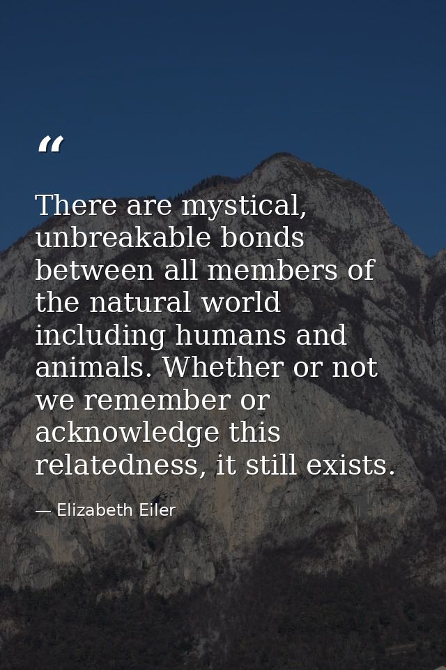 There are mystical, unbreakable bonds between all members of the natural world including humans and animals. Whether or  — Elizabeth Eiler
