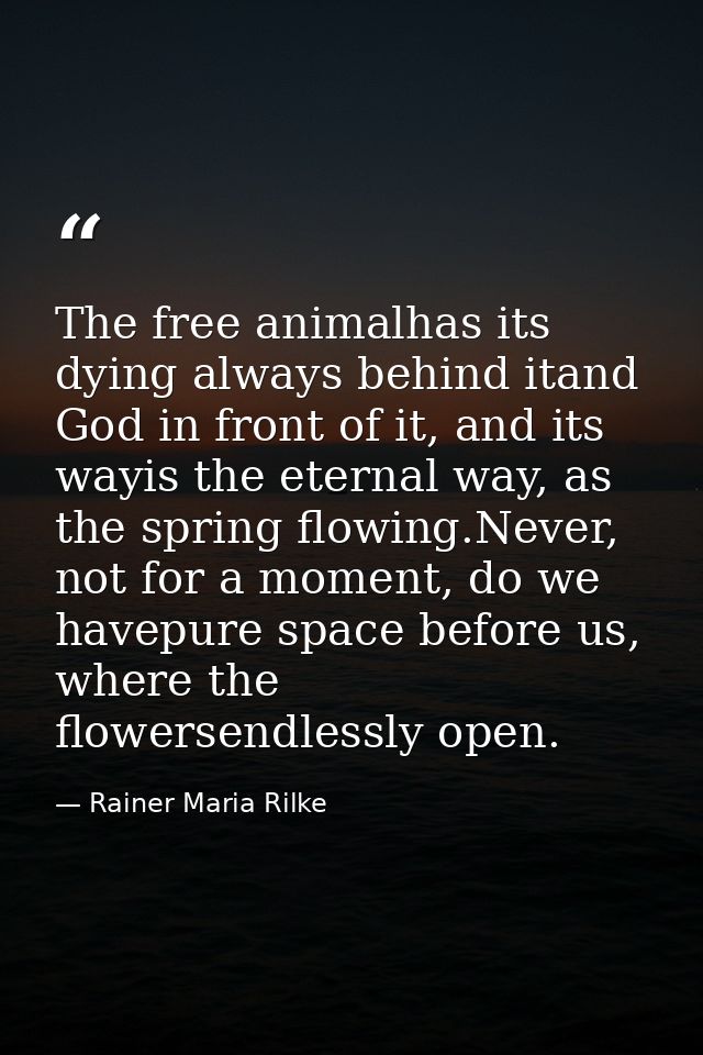 The free animalhas its dying always behind itand God in front of it, and its wayis the eternal way, as the spring flowin — Rainer Maria Rilke