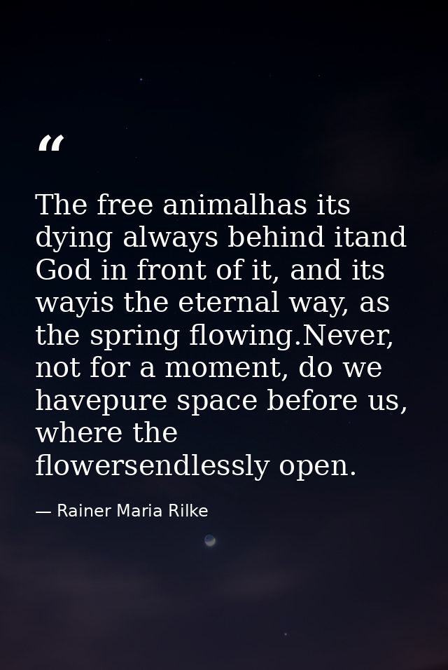 The free animalhas its dying always behind itand God in front of it, and its wayis the eternal way, as the spring flowin — Rainer Maria Rilke