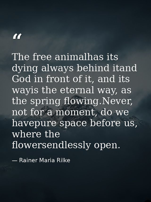 The free animalhas its dying always behind itand God in front of it, and its wayis the eternal way, as the spring flowin — Rainer Maria Rilke