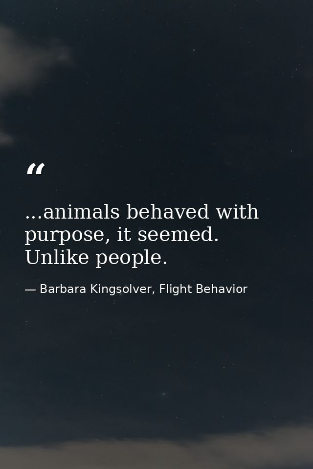 ...animals behaved with purpose, it seemed. Unlike people. — Barbara Kingsolver, Flight Behavior