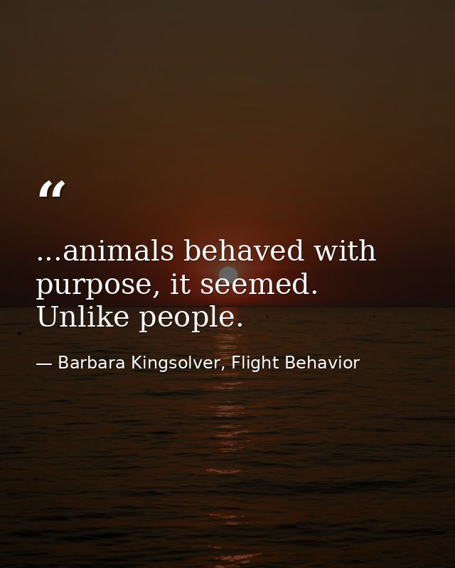 ...animals behaved with purpose, it seemed. Unlike people. — Barbara Kingsolver, Flight Behavior