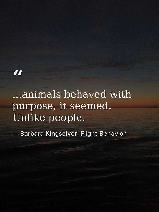 ...animals behaved with purpose, it seemed. Unlike people. — Barbara Kingsolver, Flight Behavior