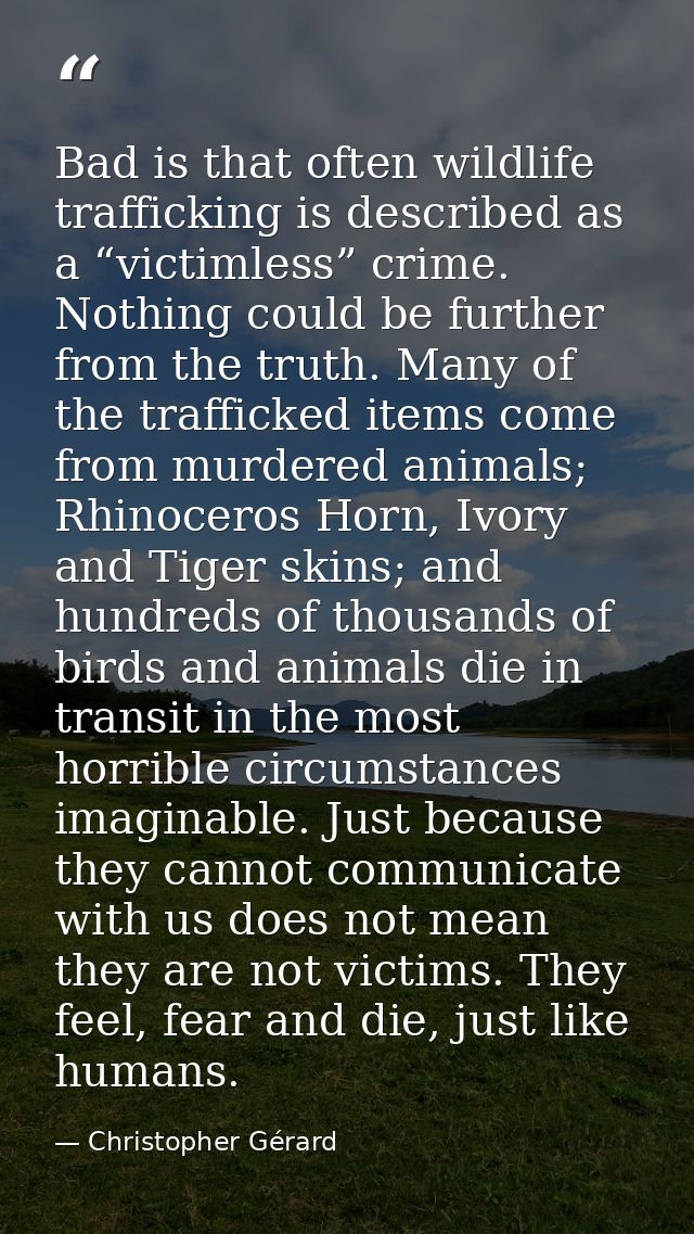 Bad is that often wildlife trafficking is described as a “victimless” crime. Nothing could be further from the truth. Ma — Christopher Gérard