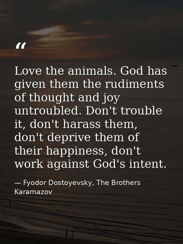 Love the animals. God has given them the rudiments of thought and joy untroubled. Don't trouble it, don't harass them, d — Fyodor Dostoyevsky, The Brothers Karamazov