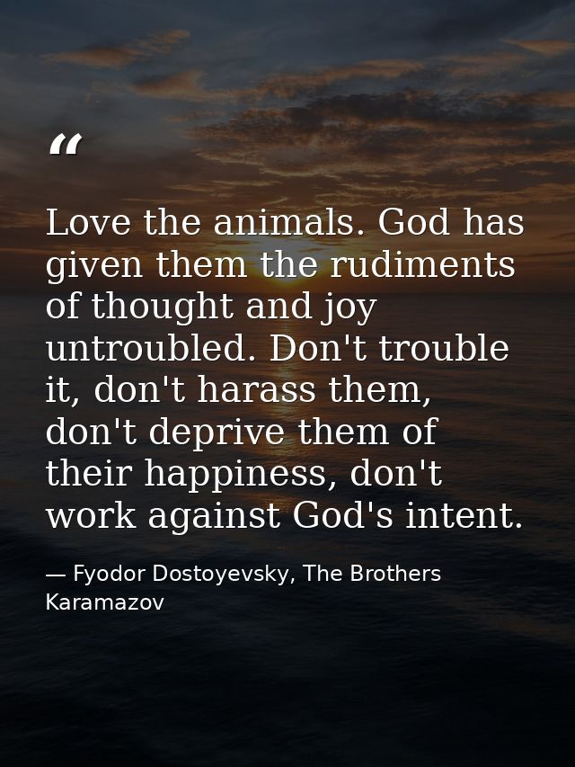 Love the animals. God has given them the rudiments of thought and joy untroubled. Don't trouble it, don't harass them, d — Fyodor Dostoyevsky, The Brothers Karamazov