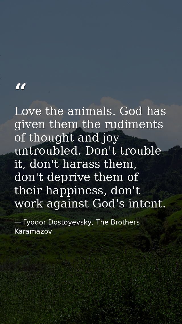 Love the animals. God has given them the rudiments of thought and joy untroubled. Don't trouble it, don't harass them, d — Fyodor Dostoyevsky, The Brothers Karamazov