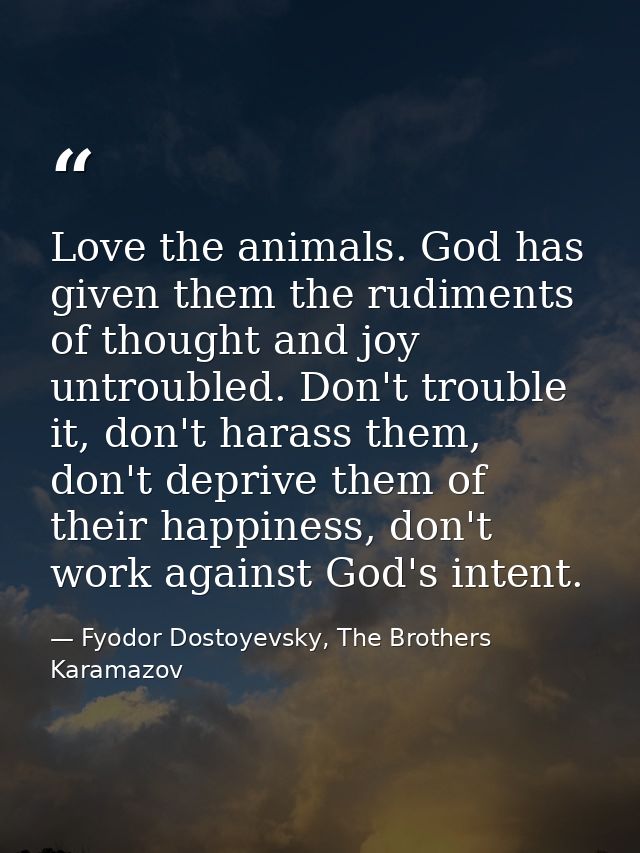 Love the animals. God has given them the rudiments of thought and joy untroubled. Don't trouble it, don't harass them, d — Fyodor Dostoyevsky, The Brothers Karamazov