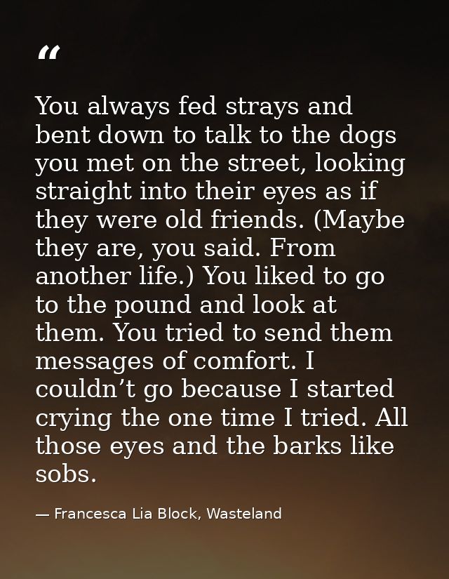 You always fed strays and bent down to talk to the dogs you met on the street, looking straight into their eyes as if th — Francesca Lia Block, Wasteland