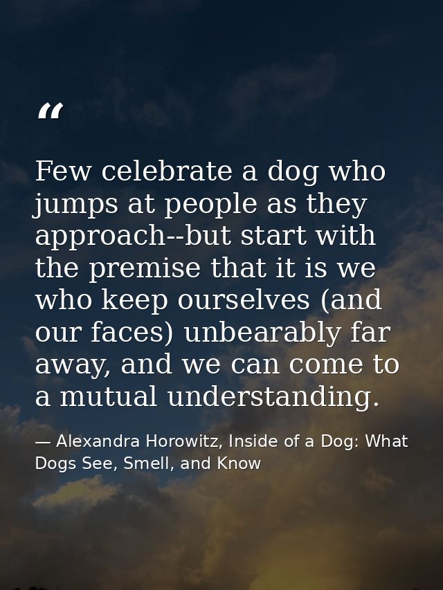 Few celebrate a dog who jumps at people as they approach--but start with the premise that it is we who keep ourselves (a — Alexandra Horowitz, Inside of a Dog: What Dogs See, Smell, and Know