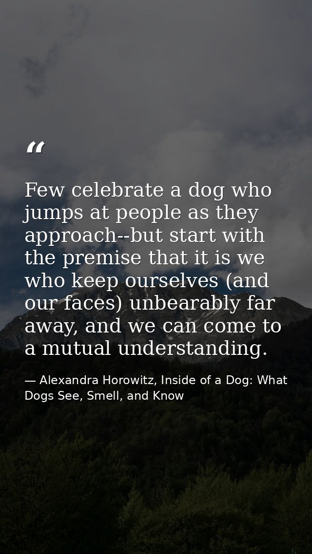Few celebrate a dog who jumps at people as they approach--but start with the premise that it is we who keep ourselves (a — Alexandra Horowitz, Inside of a Dog: What Dogs See, Smell, and Know