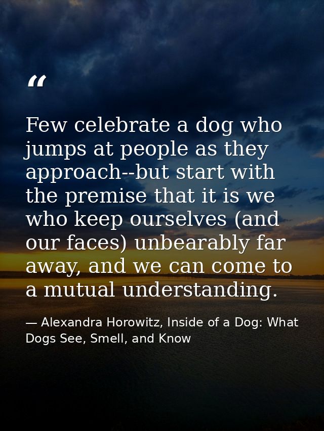 Few celebrate a dog who jumps at people as they approach--but start with the premise that it is we who keep ourselves (a — Alexandra Horowitz, Inside of a Dog: What Dogs See, Smell, and Know