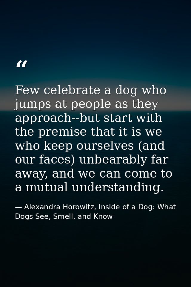 Few celebrate a dog who jumps at people as they approach--but start with the premise that it is we who keep ourselves (a — Alexandra Horowitz, Inside of a Dog: What Dogs See, Smell, and Know
