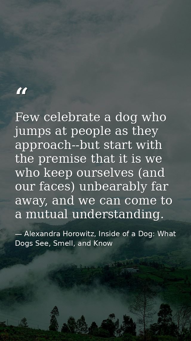 Few celebrate a dog who jumps at people as they approach--but start with the premise that it is we who keep ourselves (a — Alexandra Horowitz, Inside of a Dog: What Dogs See, Smell, and Know