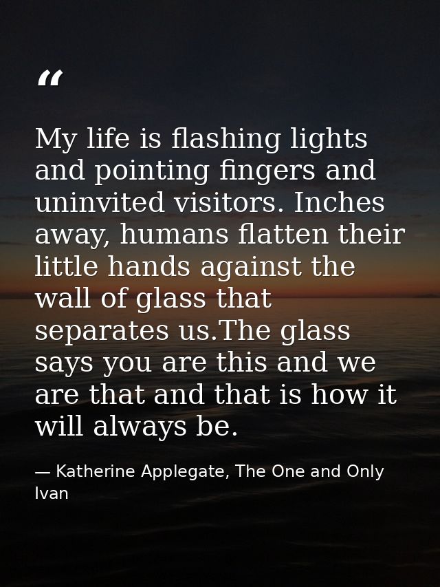My life is flashing lights and pointing fingers and uninvited visitors. Inches away, humans flatten their little hands a — Katherine Applegate, The One and Only Ivan