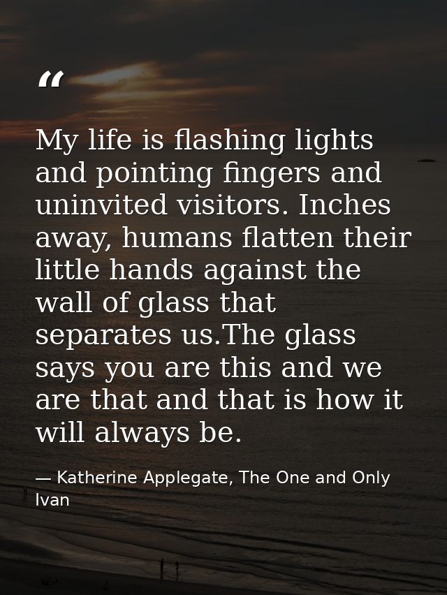 My life is flashing lights and pointing fingers and uninvited visitors. Inches away, humans flatten their little hands a — Katherine Applegate, The One and Only Ivan