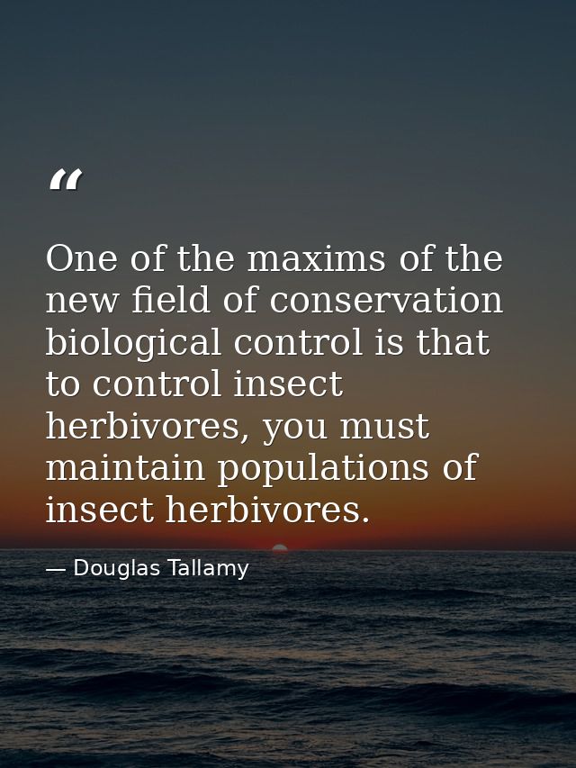 One of the maxims of the new field of conservation biological control is that to control insect herbivores, you must mai — Douglas Tallamy