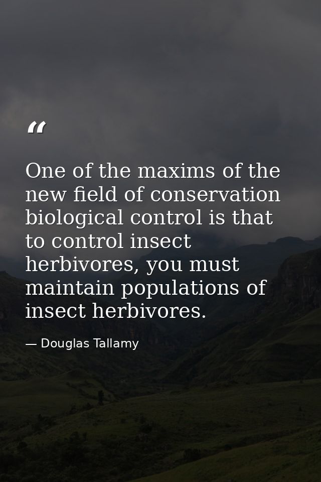One of the maxims of the new field of conservation biological control is that to control insect herbivores, you must mai — Douglas Tallamy