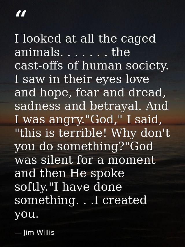 I looked at all the caged animals. . . . . . . the cast-offs of human society. I saw in their eyes love and hope, fear a — Jim Willis