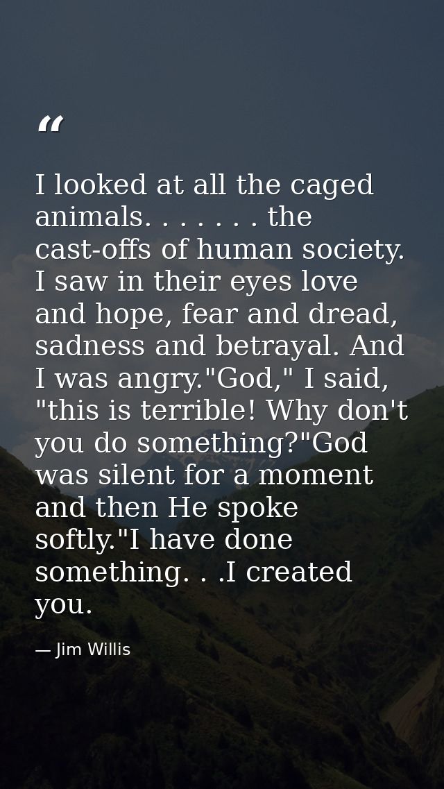 I looked at all the caged animals. . . . . . . the cast-offs of human society. I saw in their eyes love and hope, fear a — Jim Willis