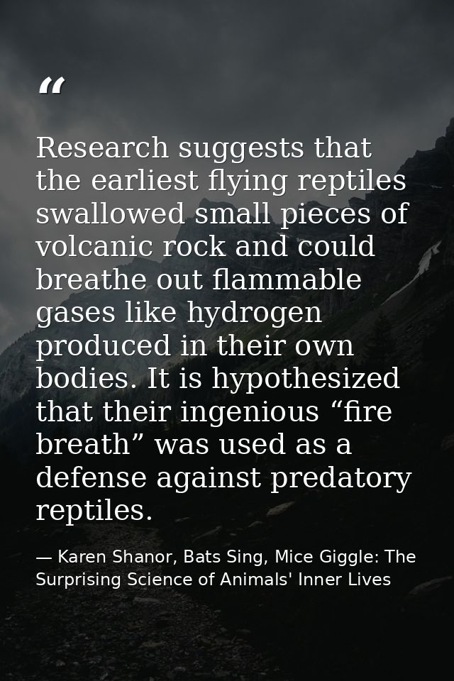 Research suggests that the earliest flying reptiles swallowed small pieces of volcanic rock and could breathe out flamma — Karen Shanor, Bats Sing, Mice Giggle: The Surprising Science of Animals' Inner Lives