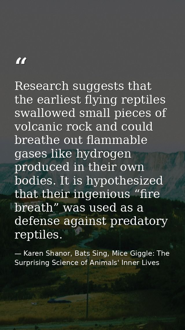 Research suggests that the earliest flying reptiles swallowed small pieces of volcanic rock and could breathe out flamma — Karen Shanor, Bats Sing, Mice Giggle: The Surprising Science of Animals' Inner Lives