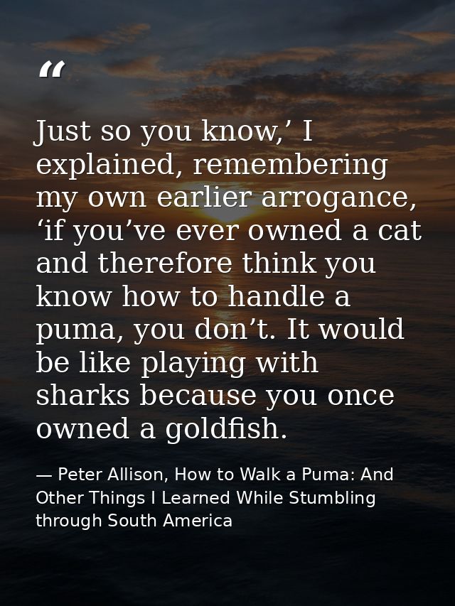 Just so you know,’ I explained, remembering my own earlier arrogance, ‘if you’ve ever owned a cat and therefore think yo — Peter Allison, How to Walk a Puma: And Other Things I Learned While Stumbling through South America