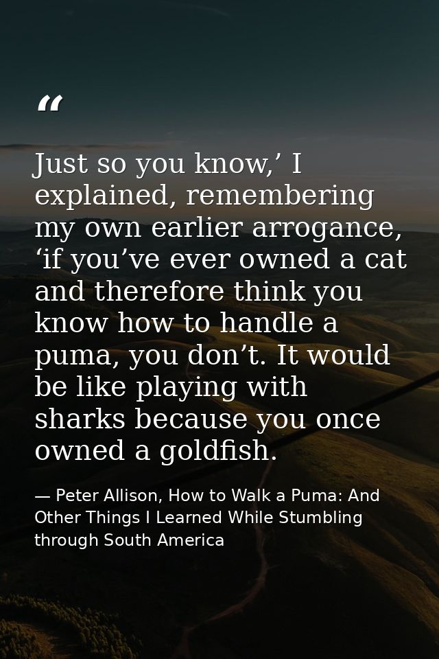 Just so you know,’ I explained, remembering my own earlier arrogance, ‘if you’ve ever owned a cat and therefore think yo — Peter Allison, How to Walk a Puma: And Other Things I Learned While Stumbling through South America