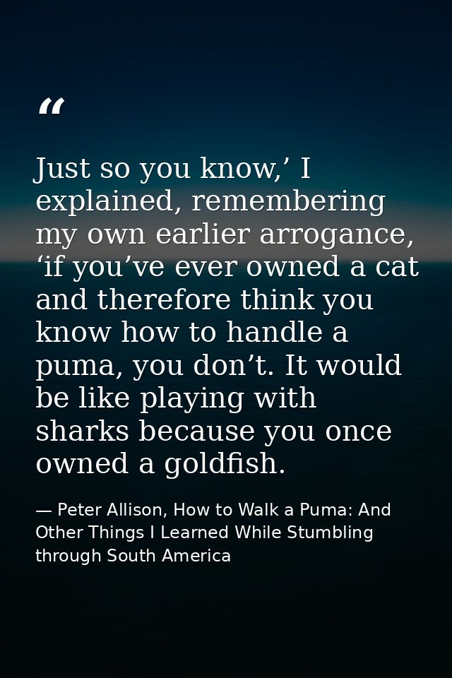 Just so you know,’ I explained, remembering my own earlier arrogance, ‘if you’ve ever owned a cat and therefore think yo — Peter Allison, How to Walk a Puma: And Other Things I Learned While Stumbling through South America