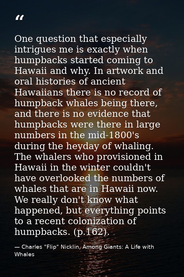 One question that especially intrigues me is exactly when humpbacks started coming to Hawaii and why. In artwork and ora — Charles "Flip" Nicklin, Among Giants: A Life with Whales