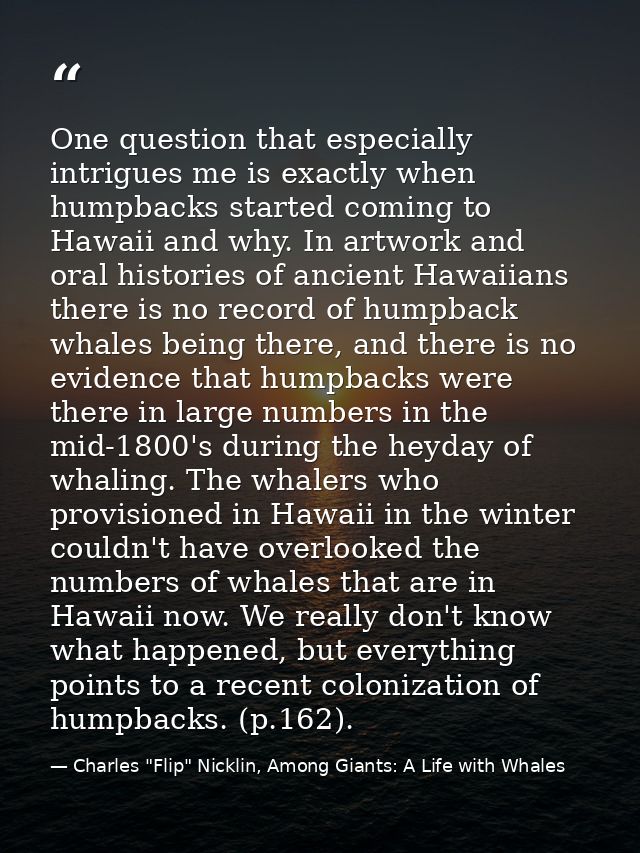 One question that especially intrigues me is exactly when humpbacks started coming to Hawaii and why. In artwork and ora — Charles "Flip" Nicklin, Among Giants: A Life with Whales