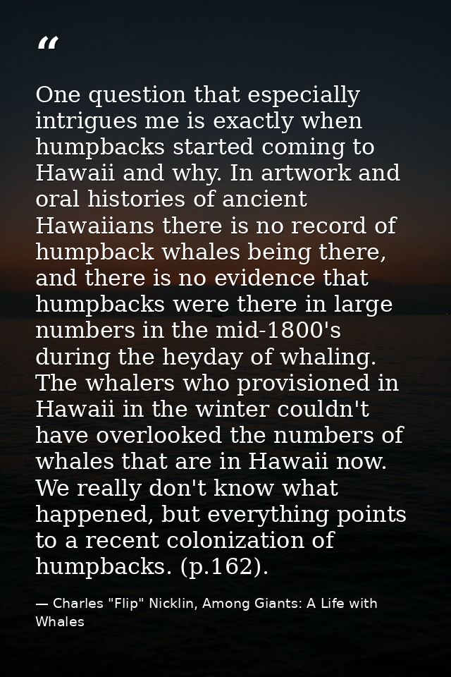 One question that especially intrigues me is exactly when humpbacks started coming to Hawaii and why. In artwork and ora — Charles "Flip" Nicklin, Among Giants: A Life with Whales