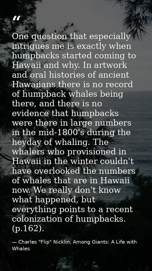 One question that especially intrigues me is exactly when humpbacks started coming to Hawaii and why. In artwork and ora — Charles "Flip" Nicklin, Among Giants: A Life with Whales