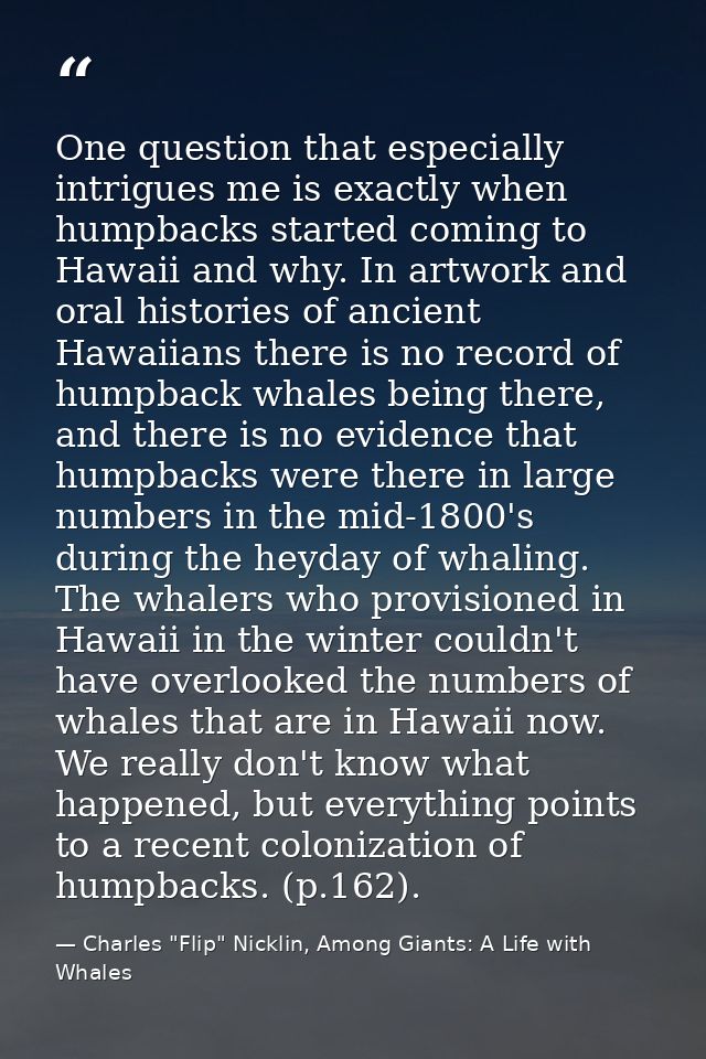 One question that especially intrigues me is exactly when humpbacks started coming to Hawaii and why. In artwork and ora — Charles "Flip" Nicklin, Among Giants: A Life with Whales