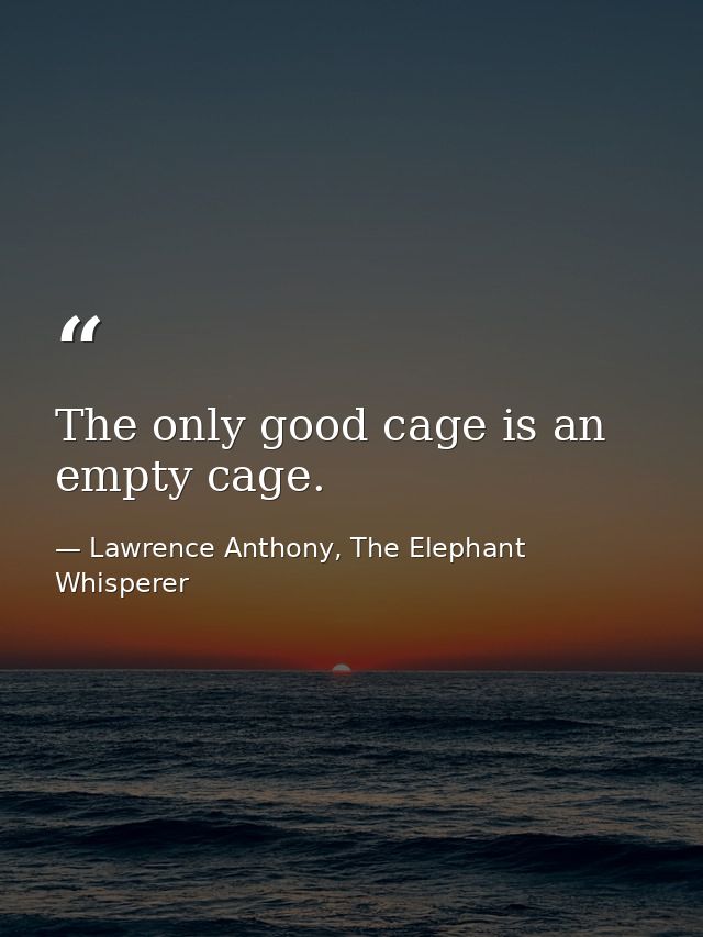 The only good cage is an empty cage. — Lawrence Anthony, The Elephant Whisperer