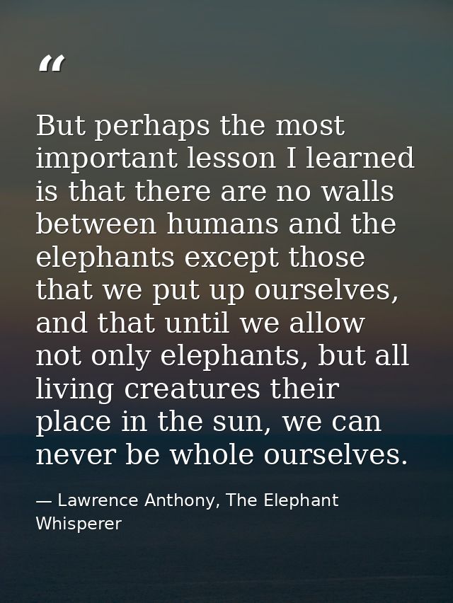 But perhaps the most important lesson I learned is that there are no walls between humans and the elephants except those — Lawrence Anthony, The Elephant Whisperer